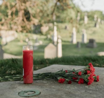 Wrong-Way Crash in Glenview, IL — One Killed on I-294 Near Golf Rd (June 25, 2025)