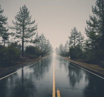 Car Accident in Mount Aukum, CA — Vehicle Hits Tree on Higgins Rd (July 25, 2025)