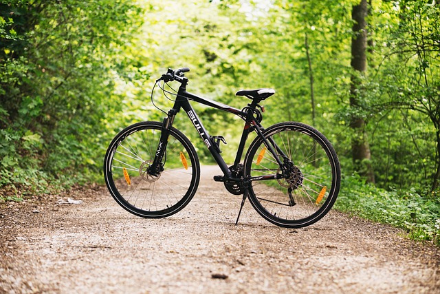 Fatal Bicycle Accident in Westfield, NJ — Cyclist Struck on W North Ave (August 4, 2025)