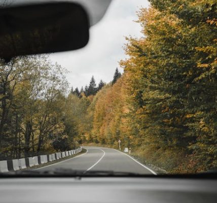 car accident lawyer