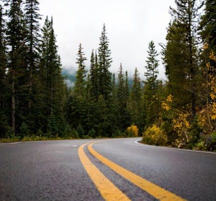 Bike Accident in Sonora, CA — Hwy 49 Near Columbia Way (August 1, 2025)