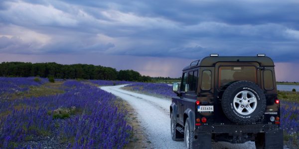 Fatal Car Accident in Clay County, TX — Woman Killed Near Petrolia (August 3, 2025)